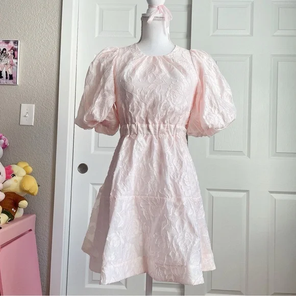 J.Ing Dresses | J.Ing Pastel Pink Puff Sleeve Dress. Floral Jacquard | Color: Pink | Size: 2 | Itsangiebby's Closet